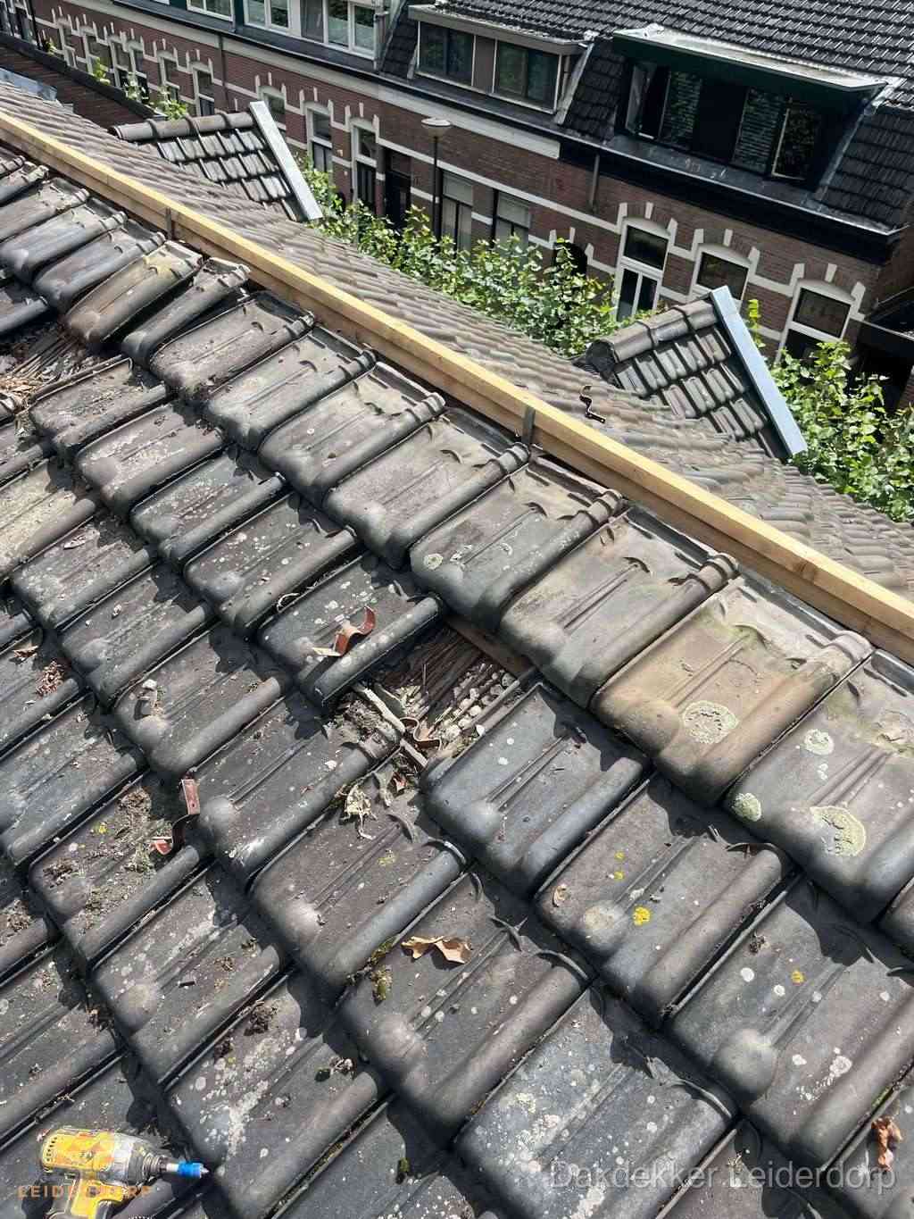 Dakonderhoud Leiderdorp Dakonderhoud Leiderdorp