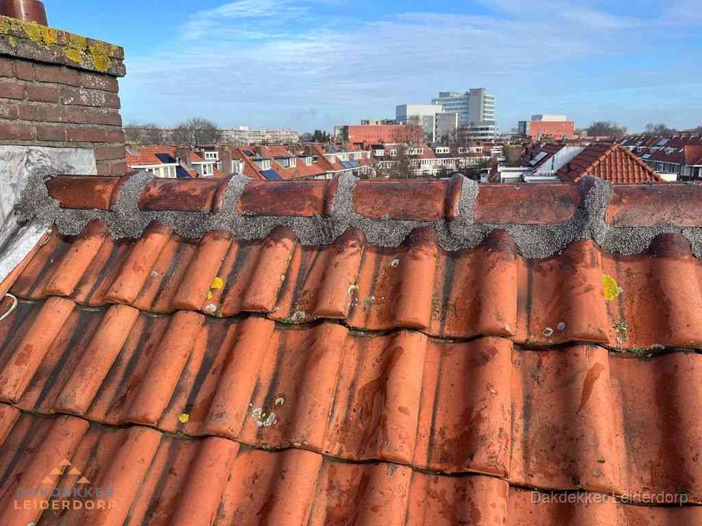 Leiderdorp Daken Renoveren Leiderdorp Daken Renoveren